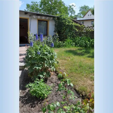 Homestay Ahlbeck_seebadwohnung 03 Heringsdorf (Usedom)